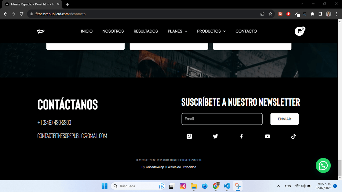 Footer and Newsletter
